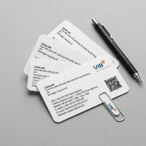 In name card (offset theo bloc/ In nhanh kts (laser)