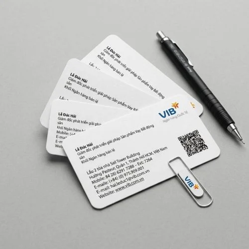 In name card (offset theo bloc/ In nhanh kts (laser)