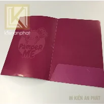 In folder giá rẻ nhanh theo yêu cầu tại tpHCM