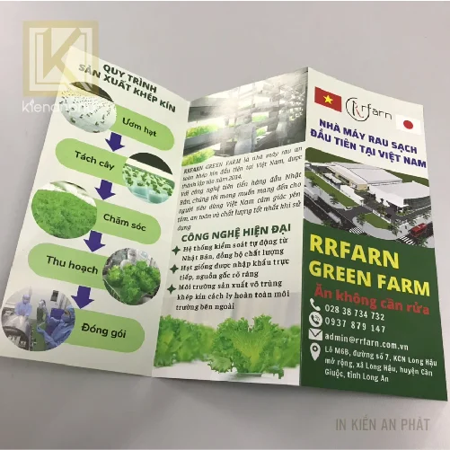 In brochure (tờ gấp) số lượng ít tại tpHCM
