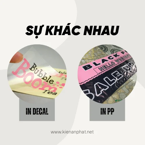 Sự khác nhau của in decal và in PP