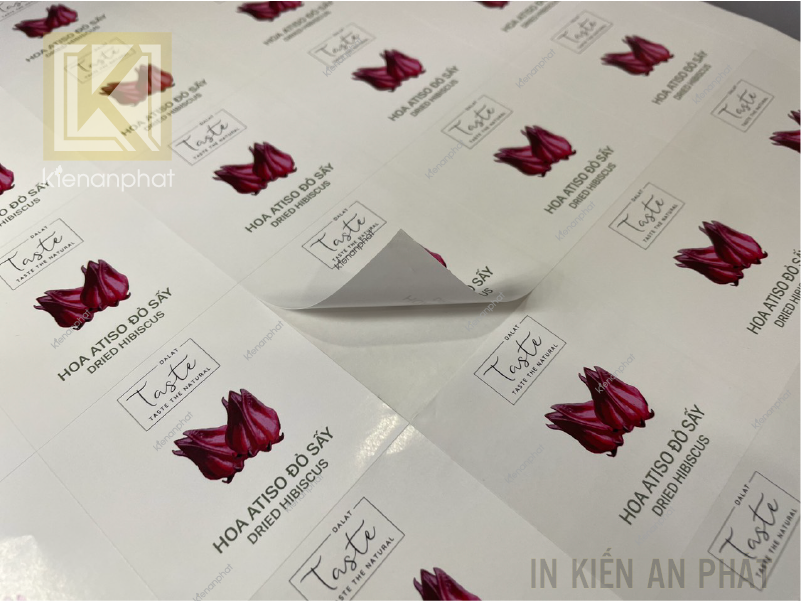Giấy decal, chất liệu in ấn thông dụng hàng đầu