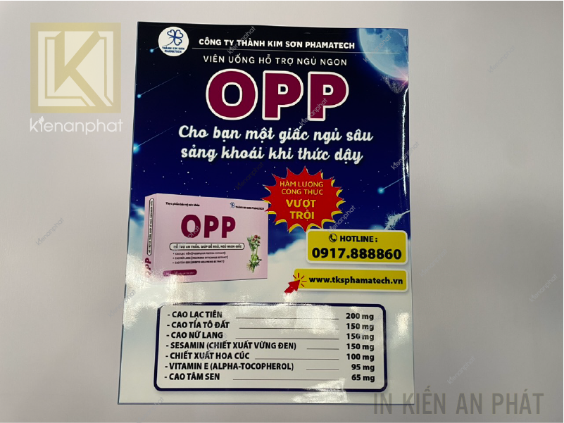 In tờ rơi leaflet: Tìm hiểu và lợi ích