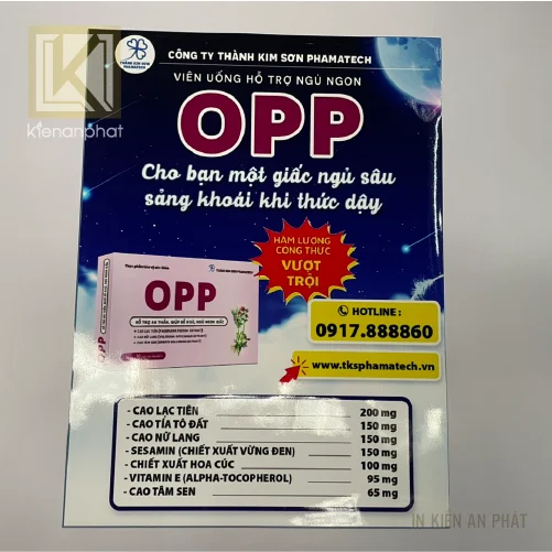 In tờ rơi leaflet: Tìm hiểu và lợi ích