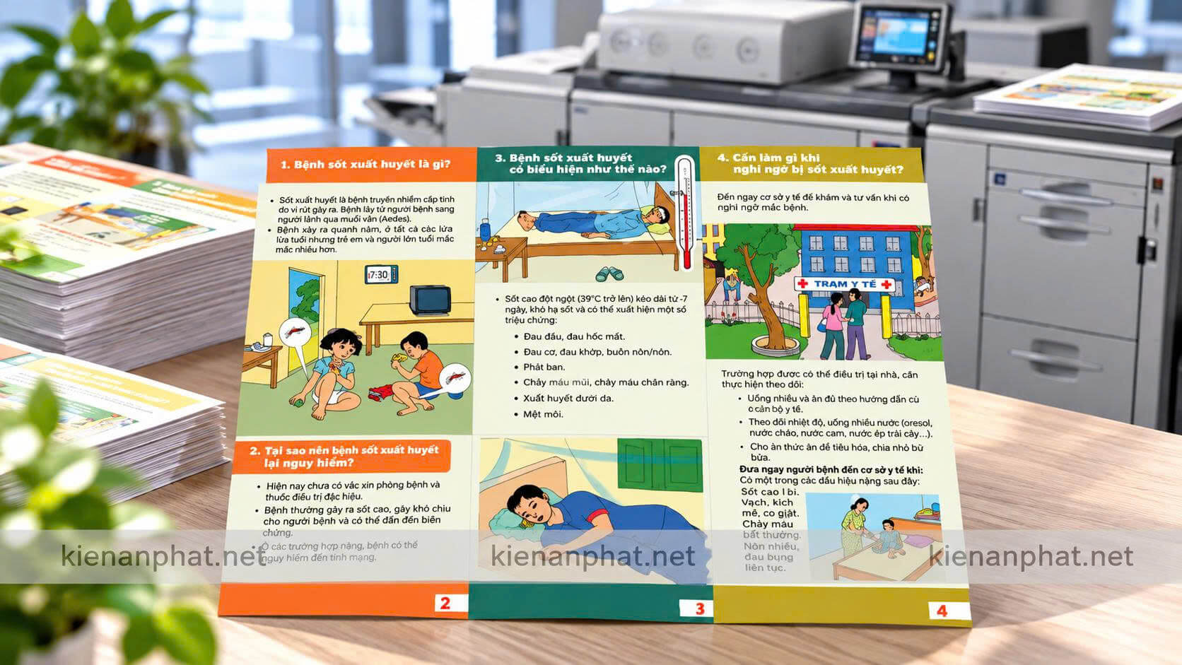 Tờ Bướm Là Gì? Ứng Dụng Quảng Cáo & Tuyên Truyền Giá Xưởng