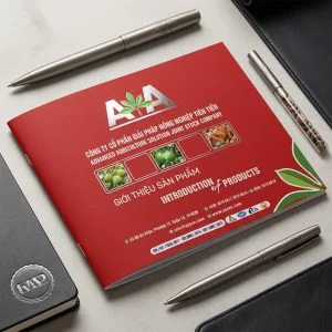In Catalogue A4, A5 Offset / In nhanh Kts (laser)