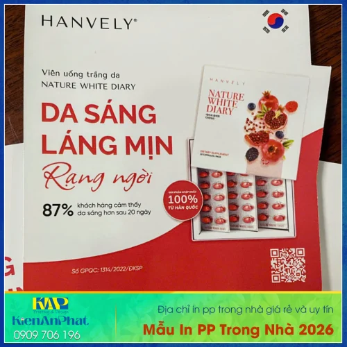 Mẫu In PP Trong Nhà đẹp tại kiến an phát