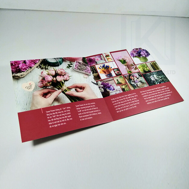 mẫu in brochure đẹp